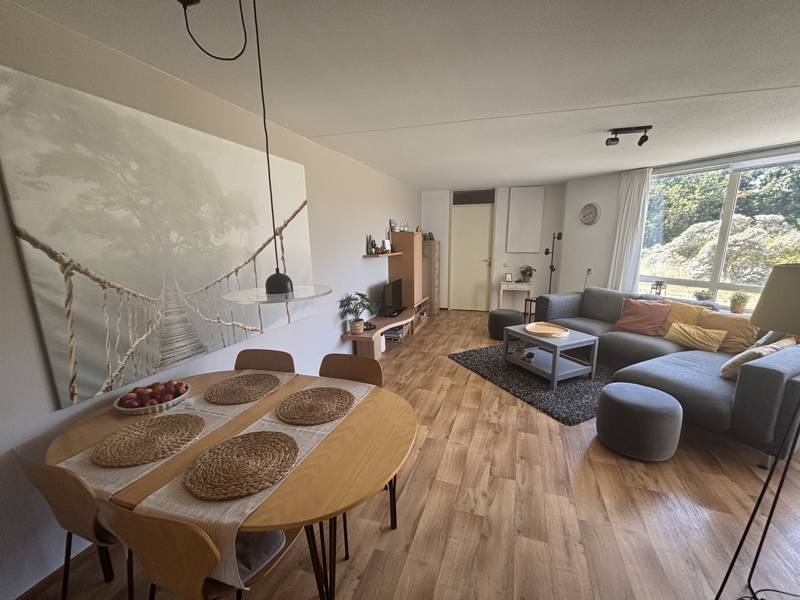 Apartment 17